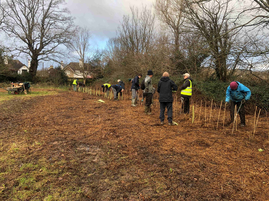 Tree planting in Gilchrist field