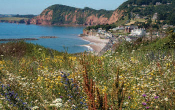 Sidmouth Esplanade from Salcombe Hill