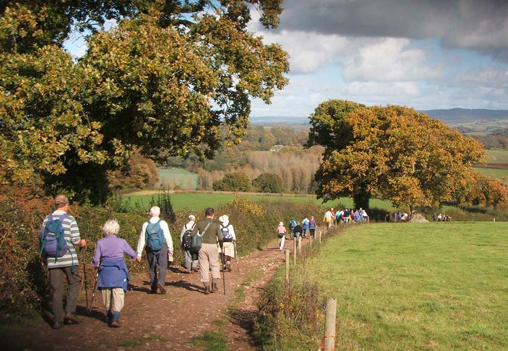 Workgroup Walk 015